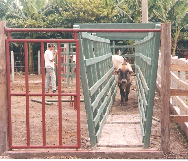 corral de madera plástica calceta manga maderplast brete para ganado corrales embudos calcetas embudo calceta bretes brete apretadero instalaciones mangas wpc (6) corral de madera plástica calceta manga maderplast brete para ganado corral de madera plástica calceta manga maderplast brete para ganado corrales embudos calcetas embudo calceta bretes brete apretadero instalaciones mangas wpc corrales embudos calcetas embudo calceta bretes brete apretadero instalaciones mangas wpc (6)